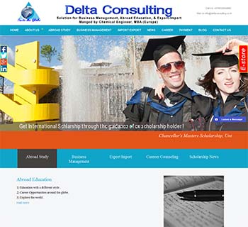 Delta Consulting